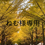 🌿天然石ラベンダーアメジストロック🌈　　