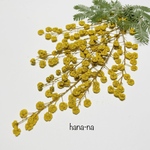 ［再販]🛍sale! 🌼ミモザ  ＊  押し花
