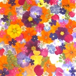 ♡new♡作家様必見♡押し花MIXセット♡押し花セット
