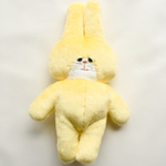 2023 Rabbit レモンイエロー