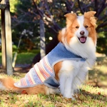 中型犬、老犬ちゃん　大幅調整できるドッグコート〜4Ｌサイズ〜