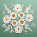 押し花セットA＜組み立てのお花＆ノースポール＆レースフラワー他＞