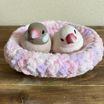 鳥ちゃんの為の皿巣【スイートピンク】