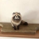 たぬき