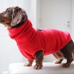 犬服　毛布みたいな生地のハイネックタンクトップ　レッド