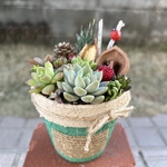 ★今だけ！特別価格♬★送料無料★ ♡そのまま飾れる♡リメ鉢♬木の実の多肉植物寄せ植え╰(*´︶`*)╯♡