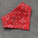 再販！！ペイズリー柄★バンダナ型スタイ