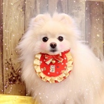 限定品❣️開運✨鈴付きリバーシブルあぶちゃん💖おまけ付き❣️