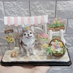 【eri_chocota 様専用】ミニチュア手乗りわんこ チワワ