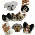 ポンポン うちの子ちゃん