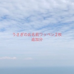 うさぎのお名前ワッペン2枚追加分