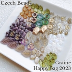 [チェコビーズ福袋B] 2023 Happy bag✨ [Graine]