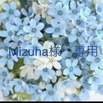 Mizuha様専用
