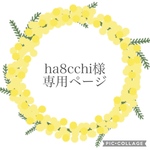 ha8cchi様専用ページ