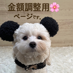 ゴールデンレトニエルちゃん🩷金額調整用🌸です。