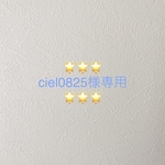 🌟🌟🌟ciel0825様専用🌟🌟🌟