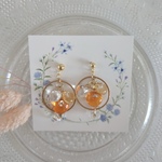 オレンジ×フープ　レジンピアスorノンホールピアス