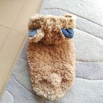 犬服！フワフワ　モコモコ　暖かクマ