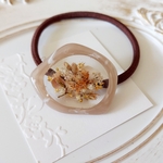 [送料込み]dryflower ヘアゴム  brown