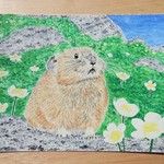 オーダー作品『ナキウサギとチングルマ』　　水彩画　ハガキサイズ2枚