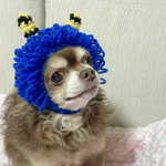 犬節分 鬼ヅラ 帽子