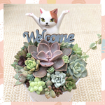 【このまま飾れます☺︎】バンザイ猫さん♪多肉植物寄せ植え