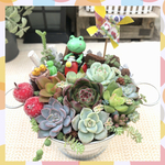 【このまま飾れます☺︎】可愛い過ぎ♡スクーターかえるさん出発進行♪多肉植物寄せ植え