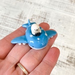 ジンベイザメの飛行機とあざらし