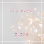 2023年happy袋❤️