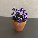 ビオラ　花鉢　18