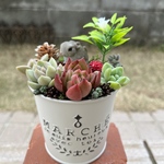 ★今だけ！特別価格♬★ ♡そのまま飾れる♡ブリキ缶♬うさぎちゃんの多肉植物寄せ植え╰(*´︶`*)╯♡