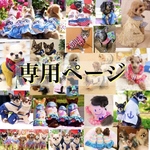 専用ページ