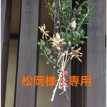 松岡様　専用