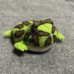 カエルメジャーややミニ ツノガエル
