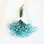 【特集掲載】Blue baby's breath swag（ブルーかすみそうのスワッグ）かすみそう ドライフラワー