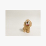 くっきーちゃん専用羊毛フェルトオーダー アメリカンコッカースパニエル