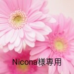 Nicona様専用