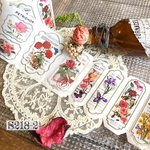 送料無料【S218-2 コラージュ素材】海外マステ  ジャーナル　花植物　手帳素材　おすそ分け　スクラップ