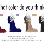 ドレス色当て　色当てクイズ　③