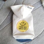 犬服！Msize！裏起毛　ニコちゃん　デニム重ね着