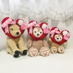 犬用❤︎顔出しシリーズ❤︎2023ハッピーバレンタイン