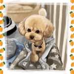 （全身）そっくりデフォルメな犬の似顔絵II