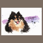 イラスト原画(ポストカードサイズ) ポメラニアン