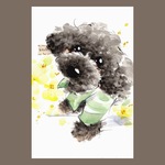 イラスト原画(ポストカードサイズ) トイプードル