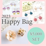 Happy Bag アクセサリー福袋♪ピアスorイヤリング