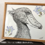 「ハシビロコウ」　イラスト