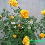 rararara123様オーダー品
