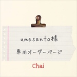 umesanta様　手帳型専用オーダー分 ケース 