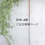 875−3様ご注文専用ページ