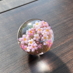 レジン玉　桜